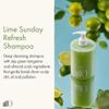 ANILLO Lime Sunday Conditioner Set  Refresh Shampoo + Hair Conditioner, Daily Haircare for Deep Cleansing Oily Scalp, pH Balanced, Protein Complex, Vegan Haircare, Paraben Free view 4