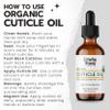 Organic Cuticle & Nail Oil - Repair, Revitalize & Hydrate Cuticles and Nails - Organic Spa Treatment - For Stronger Healthier Nails and Cuticles - 2 Fl Oz Glass Bottle with Glass Dropper view 4
