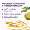 Not Your Mother's Naturals Superior Strength Shampoo & Conditioner Set - 15.2 fl oz - Sulfate-Free Hair Products - Rice Water & Himalayan Moringa view 3