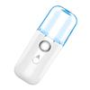 Beavorty 2pcs USB Rechargeable Nano Mist Humidifier Handheld Beauty Instrument Portable Face Mist for Women Facial Kit Random Style view 2
