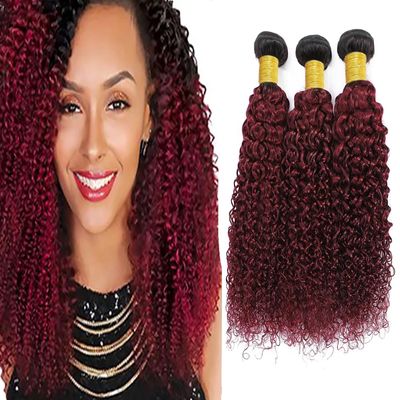 1b99j Burgundy Bundles Human Hair Ombre Burgundy Curly Human Hair Bundles 22 24 26 inch Unprocessed Brazilian Hair Burgundy Human Hair Bundles Two Tone Black To Wine Red Bundles Remy Hair Extensions