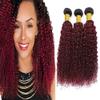 1b99j Burgundy Bundles Human Hair Ombre Burgundy Curly Human Hair Bundles 22 24 26 inch Unprocessed Brazilian Hair Burgundy Human Hair Bundles Two Tone Black To Wine Red Bundles Remy Hair Extensions view 1