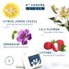 True North Botanicals Large Shower Steamers (12 Pack-1.75oz Each) Chakra Aromatherapy Optimism & Self-Esteem-Ideal Men/Women/Teens Christmas & Birthdays (6th Chakra - Lychee, Yuzu, Geranium, & Lily) view 4