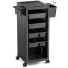 OmySalon Salon Trolley Cart with Wheels & 6 Drawers, Hair Cart Organizer for Stylist Hairdresser, Salon Cabinet Station for Barbershop Beauty Spa view 1