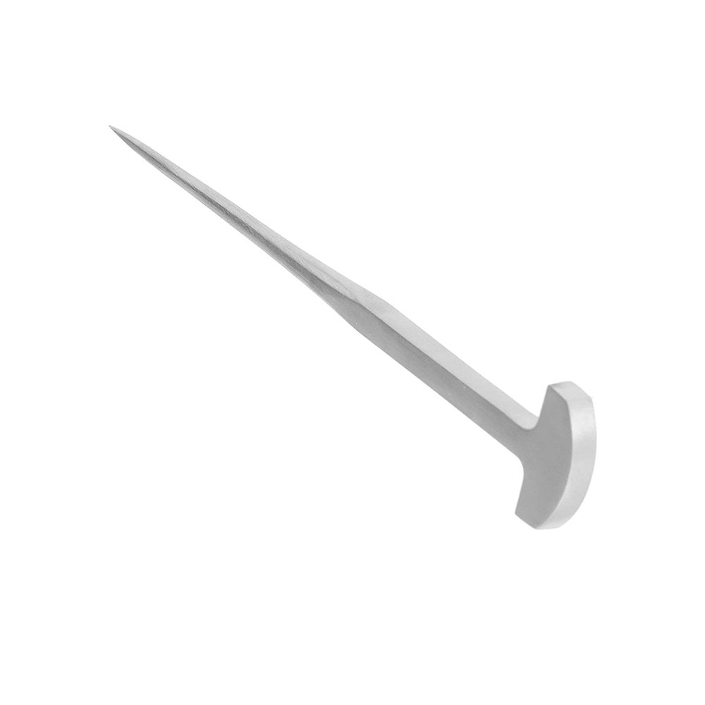 Eel Spike, Durable Thickened Fish Eel Nail for Eel for Restaurant for Fish Kitchen