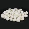 50pcs Care Silks, Easy to Use Blackhead Removal Exfoliating Silkworm Balls, Lightweight and Portable Care Silks for Care Deep Cleansing view 2