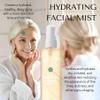RD Alchemy - 100% Natural & Organic Hydrating Facial Mist - quench dry skin at home, during facials or on the go! view 2