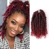 12 Inch Passion Twist Crochet Hair For Women 6 Packs Crochet Pretwisted Curly Hair Passion Twist Hair Synthetic Braiding Hair Extensions (12inch (pack of 6), TBUG) view 1