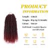 12 Inch Passion Twist Crochet Hair For Women 6 Packs Crochet Pretwisted Curly Hair Passion Twist Hair Synthetic Braiding Hair Extensions (12inch (pack of 6), TBUG) view 3