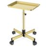 DEER BEAUTY Salon Tray on Wheels - Premium Aluminum Tattoo Tray Rolling Trolley - Adjustable Salon Service Rolling Tray Hairdresser Cart with Clinic Spa Rolling Tray Wheels (Bronze) view 1