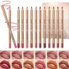 DENESTUP 12 Colors Lip Liner Set, Brown Pink Red Series Lip Liners, Plump Nude Lip Shape No Smudge Longwear Smooth Lip Pen Waterproof Lipstick High Pigmented Natural Lip Makeup Pencil view 1