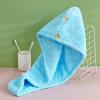 Dry Hair Cap Women Thick Double Layer Quick Drying Coral Fleece Dry Hair Towel Absorbent Pack Headscarf New Shower Cap Wholesale Embroidery view 1