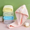Dry Hair Cap Women Thick Double Layer Quick Drying Coral Fleece Dry Hair Towel Absorbent Pack Headscarf New Shower Cap Wholesale Embroidery view 4
