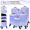 AROUS 5 in 1 Rolling Makeup Train Case Cosmetology Case on Wheels Large Cosmetic Organizer Travel Cart for Hairstylist Artist Nail Beauty Salon Barber,Silver view 3
