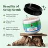 NIDHIS GRANDMAA SECRET Scalp Scrub - Natural Curry Leaves & Seaweed Scalp Scrub for Dandruff, Buildup, Dead Skin - Cleansing and Exfoliating Dry Scalp Scrub - Sulphate/Parabens Free - 200mL view 2