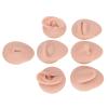 Sorandy Body Piercing Practice Model Body Part Displays Set Simulation Silicone Ear Eye Nose Mouth Tongue Belly Button Model for Novice Piercer Soft Silicone Body Part Model (Medium Skin view 1