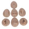 Body Piercing Practice Model Body Part Displays Set Simulation Silicone Ear Eye Nose Mouth Tongue Belly Button Model for Novice Piercer Soft Silicone Body Part Model (Dark Skin view 3