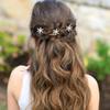 6 Pcs Christmas Hair Clips for Women and Girls Crystals Bobby Pins Snowflake Rhinestone Bridal U-Shape Hair Clips (Silver,Blue) view 2