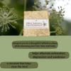 Bare Beauty Naturals Limited Edition 100% Natural Biblical Purification Soap w/Ground Myrrh, Frankincense, Cassia (Spikenard Subway cut 15-16.9 oz, Lrg Med-Exfol Crocus) view 2