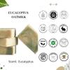 100% Natural Eucalyptus Oat Milk with Aloe Vera Soap | Vegan | Organic Ingredients | Creamy & Moisturizing Suds | Rejuvenate, Soothe, and Exfoliate | Handcrafted for All Skin Types | Miami-Made - 1 Bar view 3