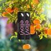 Ellovi Natural Lip Butter Lip Balm - Blossom - Pure Enough to Eat - Made With Just 6 Vegan Ingredients - 100% Natural & Organic Moisturizing Lip Care for All Day Hydration (2-Pack) view 2