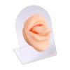 Silicone Tongue Model, Piercing Practice Body Parts Model, Tongue Mouth Display Model for Piercing Practice Acupuncture Jewelry Display Teaching view 4