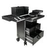 Rolling Makeup Case Professional Makeup Train Case Makeup Artist Travel Organizer Aluminium Make Up Case, Make Up Artist Train Case Hairdressing Tools Organiser With Wheels, Black cosmetic case ( Colo view 1