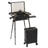 Aluminum Trolley Makeup Train Case With LED Lights Professional Cosmetic Organizer Studio, 3 Shades Of Light, Wheels And Stands Rolling Lighted Makeup Vanity Station For Travel (Black) cosmetic case view 1
