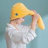 2PCS Hair Drying Cap Super Absorbent Quick-Drying Shower Cap Dry Hair Towel Shampoo Towel Pack Turban (Color : 1) (1) view 2