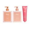 DAE Bestsellers Trio (Signature Shampoo, Signature Conditioner & 3-1 Styling Cream) view 1