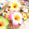 10 Pcs Multicolor Hawaii Plumeria Flower Clips Hawaiian Hair Barrettes Beach Party Hair Clips Artificial Tropical Flower Hairpins for Wedding 7cm view 4