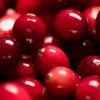 Aromatics International Cranberry Seed Oil 4fl-oz | Cold-Pressed Natural Oil for Skin Care, Moisturizing, and Hydration view 2