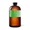 Aromatics International Aloe Vera Gel 16fl-oz  Organic Cold-Pressed, Pure Moisturizing Gel for Skin, Hydrating & Soothing, Natural Skincare Solution view 1