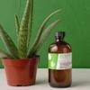 Aromatics International Aloe Vera Gel 8fl-oz  Organic Cold-Pressed, Pure Moisturizing Gel for Skin, Hydrating & Soothing, Natural Skincare Solution view 4