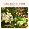 SPA CEYLON Neroli Jasmine In-Shower Softening Body Polish | Exfoliating Shower Scrub | Skin Smoothing Treatment view 4