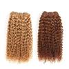Brazilian Curl Remy Hair P4/27 P1B/30 Ombre T1B/30 1B/Pink Red 99J Double Drawn Human Hair Weave Bundles Natural Color 10inches view 4
