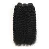 1 Pcs Mongolian Weave Bundles Afro Kinky Weave Curly Black 2# 4# Red Burg# Remy Hair Extension #30 18inches view 2