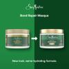 SheaMoisture Bond Repair Masque Amla Oil Deeply Moisturizes and Visibly Repairs Damage with Hydroplex Technology and Amla Oil for Stronger Hair with Restorative HydroPlex Infusion 11 oz view 3