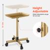 TASALON Premium Salon Tray on Wheels, Aluminum Salon Rolling Tray Trolley for Salon Essentials, Adjustable Height Provides Ample Storage for Hairstylist Tray, Tattoo Tray and Clinic Tray Use - Gloden view 2