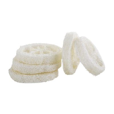 10Pcs Natural Loofah Exfoliating Sponge, Loofa Slices Cleanner Sponge Facial Soap Holder for Men Women