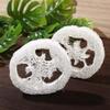 10Pcs Natural Loofah Exfoliating Sponge, Loofa Slices Cleanner Sponge Facial Soap Holder for Men Women view 3