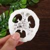10Pcs Natural Loofah Exfoliating Sponge, Loofa Slices Cleanner Sponge Facial Soap Holder for Men Women view 4