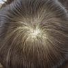 Mens Toupee Full Poly Hairpiece Hair Replacement System for Men Durable 0.12mm Thickness Skin PU Human Hair Wigs 8"X10"#2 Darkest Brown-120% Density view 3