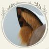 TTYAO REII Fluffy Dog Ears Headband Animal Ears Headband Puppy Ears with Tail for Cosplay Party Headdress Costume Accessories (Brown White) view 4