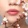 40 Pack Lip Balm Bulk, Fruit Lip Balm Variety Pack, Natural Moisturizing Balms for Dry Cracked Lips, Hydrating for Men Women Kids - 10 Flavors view 3