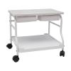 BANLICALI Foot Bath Spa Portable Trolley Cart with Wheels & Storage Rack, Floor-Standing Footrest Stand Cart for Foot Rest Pedicure Manicure Funiture Massage Table Salon Supplies Load 39.7lbs (White) view 4
