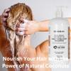 Coconut Revitalize and Nourish Hair Care Set - Coconut Milk/Oil Infused Ultimate Hydration Bundle (Shampoo, Conditioner, Leave-In Conditioner, Oil/Serum), 34 Fl. oz. view 2