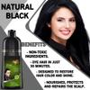 Natural Hair Dye Shampoo 3 in 1 - For Women & Men - Instant Coloring - Herbal Ingredients, Easy to Use & Long Lasting Color (Black) view 2