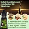 Natural Hair Dye Shampoo 3 in 1 - For Women & Men - Instant Coloring - Herbal Ingredients, Easy to Use & Long Lasting Color (Black) view 3