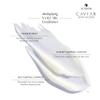 Alterna Haircare CAVIAR Anti-Aging Multiplying Volume Shampoo and Conditioner 16.5 oz | For Fine, Thin Hair | Create Instant Volume and Thickness | Sulfate Free view 4